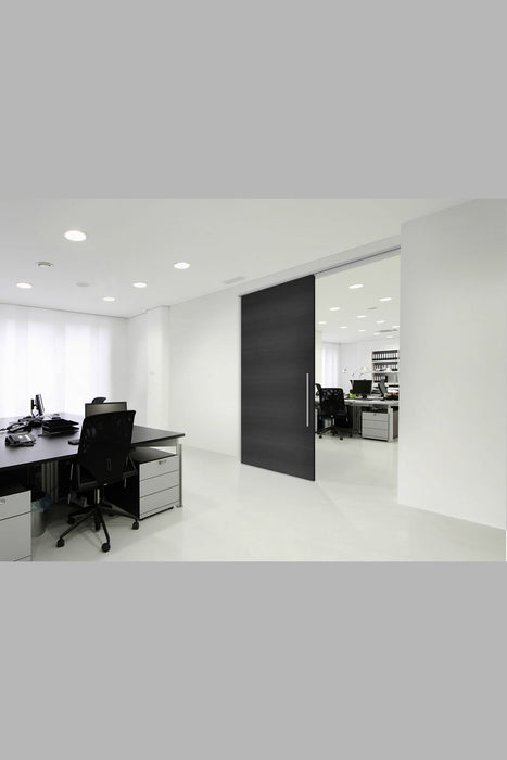 LITE-PLUS-100-within-a-modern-office-space-attached-to-a-large-black-door